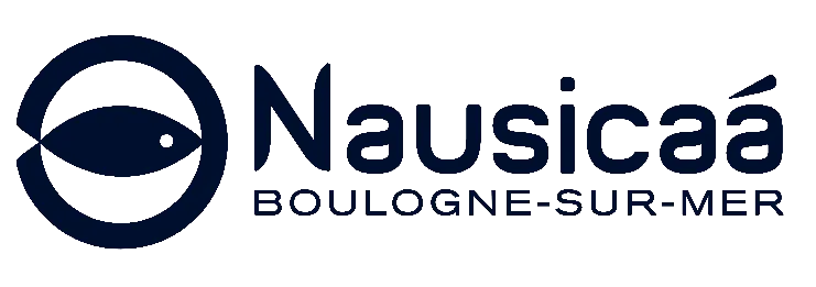 Nausica